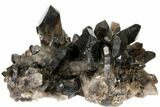 Smoky Quartz Crystal Cluster ( lbs) - Brazil #120467-2